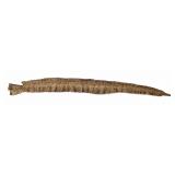 16' Boa constrictor snake skin