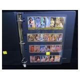 Album Nude Art Stamps, used & mint, 6 double