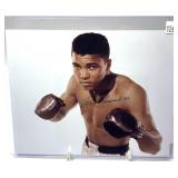Muhammad Ali 8x10 photo with signature *Includes