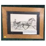 Framed lithograph by C.A. Anderson "Greyhound" i
