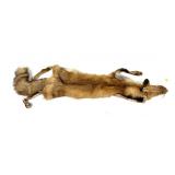 Fox pelt, nose to tail: 47" L