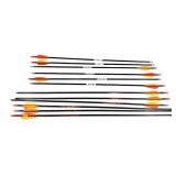 Lot: 5 Beman ICS Hunter Jr Arrows and