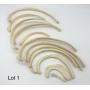 THE HUMAN & ANATOMICAL BONES / MEDICAL CURIOSITIES AND ODDITIES AUCTION