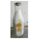 COBLE GOLDEN GUERNSEY