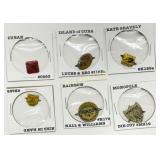 Six Vintage Chewing Tobacco Tin Tags in Protective