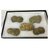 Five Natural Stones, Measuring 2in to 4in Each