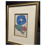 1840 HandColored Botanical Engraving Morning Glory