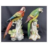 Fine Porcelain Pair of Perched Parrot Figurines