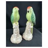 Pr Italian Porcelain CapeTown Parrots ChelseaHouse