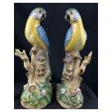 Pr. Vintage Andrea Sadek Parrot Lovebirds