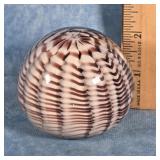 ART GLASS SHELL DESIGN PAPERWEIGHT