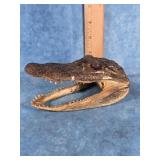 TAXIDERMY ALLIGATOR HEAD