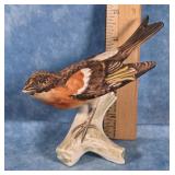 GOEBEL BERGFINK BRAMBLING PINSON PORCELAIN BIRD