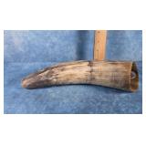 ANTIQUE ANIMAL HORN