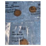 EARLY 1900'S INDIAN HEAD WHEAT CENTS 3 COUNT