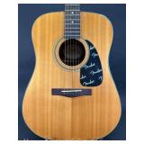 Fender DG-11 Acoustic Guitar, with Nice Hard Case