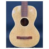 Parlor Style Acoustic Guitar, Unknown Maker, with Fender Soft Case