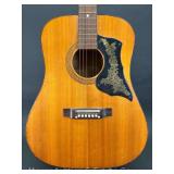 Kingston Acoustic Guitar, with RoadRunner Soft Case