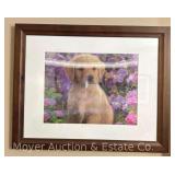 (2) Lenticular Prints, Framed, 16.5"x20.5" Overall