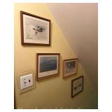 Group of Waterfowl Prints, 11"x13"