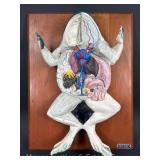 Carolina Biological Supply Frog Educational Model, 21"x16"