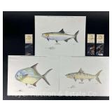 (3) Fish Prints with Corresponding Bill Willson Fishing Flys, Unframed, 11'x14'