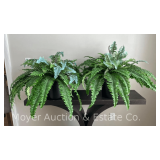 Pair of Faux Ferns, Approx. 20"h