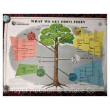 (2) US Forestry Posters, 28"x40”