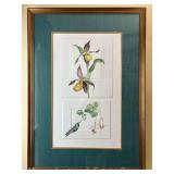 Watercolor of Flowers and Hummingbird, Artist Signed and Dated, Framed 35"x25"