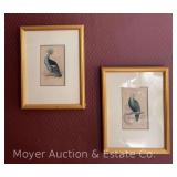 Pair of Framed Avian Prints, 13"x10"