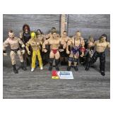 Wrestling Action Figures