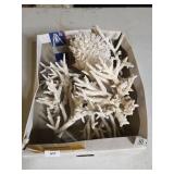 Coral Decor