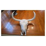 Resin cattle skull broken tip