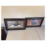 Pair of framed rabbit prints