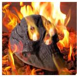 New Fire Pit Skull 8.7 Inch  Imitated Human