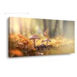Wall Art Mushroom and Leaf Canvas Painting