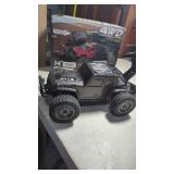 New Adults RC Car.  Rlaarlo RC Cars 1/14