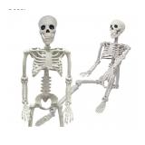 36' Skeleton Realistic Full Body Movable Posable