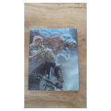 SteelBook Elden Ring