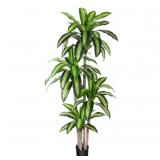 Artificial Dracaena Tree 6 ft
