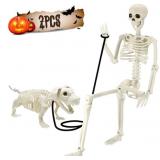 2pcs Skeleton and Dog Skeleton Halloween