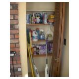 CLEANING SUPPLIES CONTENTS OF CLOSET