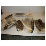 ASSORTED FEATHERS