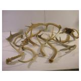 ASSORTED ANTLERS
