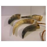 ASSORTED BULL HORNS