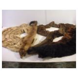 ASSORTED ANIMAL PELTS