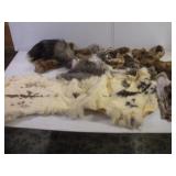 ASSORTED ANIMAL PELTS