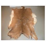 WHITE TAIL DEERE PELT