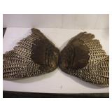 2 FEATHERED WINGS DAMAGED