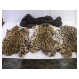 ASSORTED ANIMAL PELTS